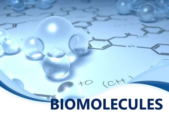 Chapter 14: Biomolecules